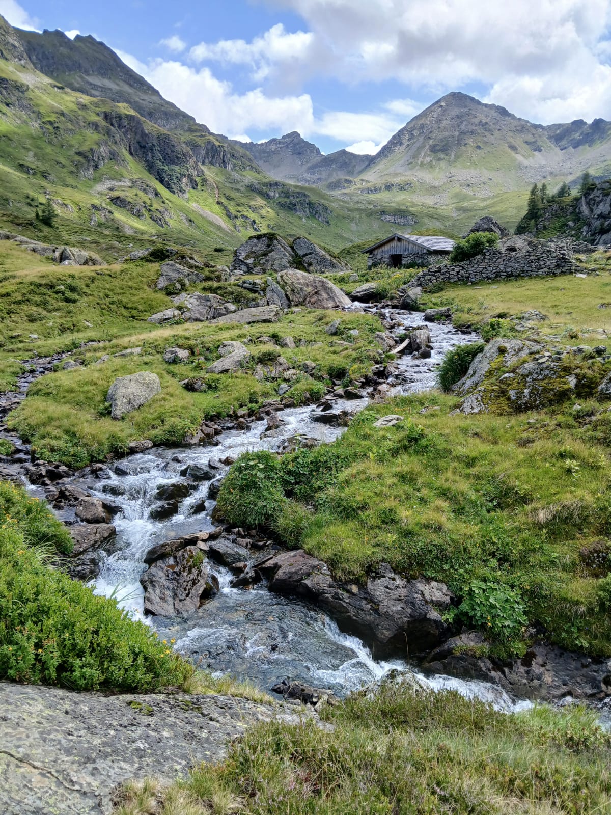 Foto: privat (c) Karin Kulec